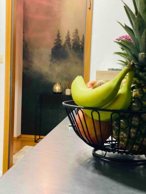 Ruhige Wohnung Im Schwarzwald Villingen-Schwenningen Exteriör bild